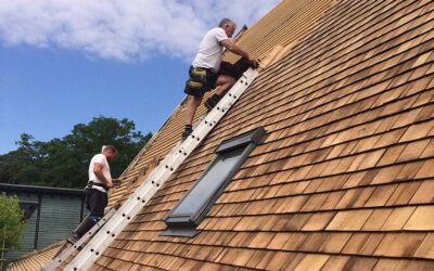 Which Roof Shingles Are the Best?