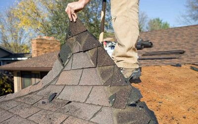 Local Roof Repair : Protecting Your Carolina Home with Expert Care