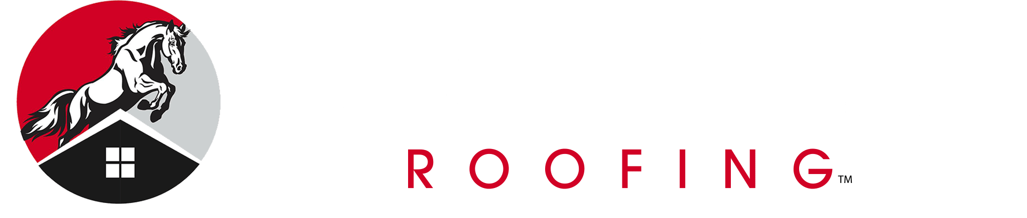 Roof replacements Raleigh NC