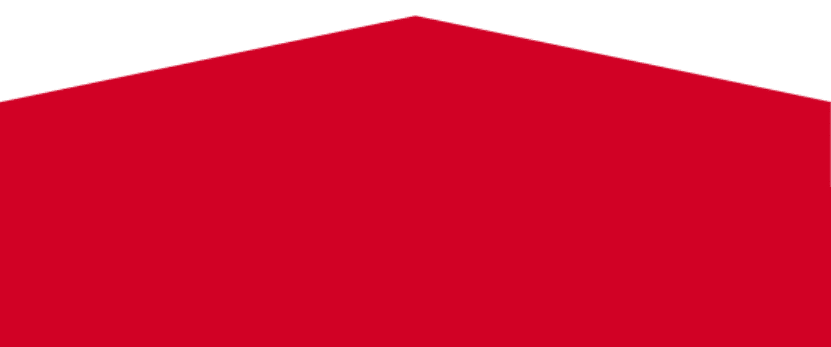 Roof repairs Raleigh NC